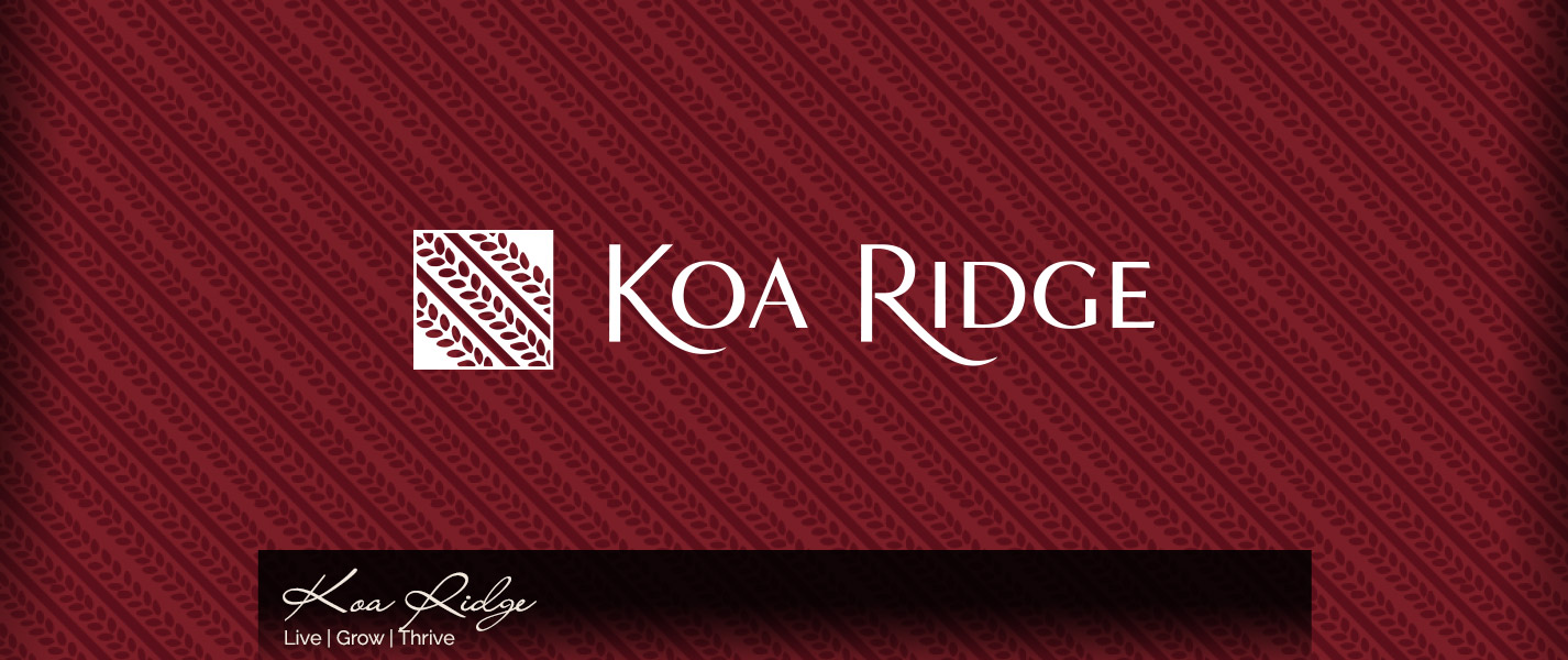 Welcome to Castle & Cooke Hawaii | Castle & Cooke Hawaii